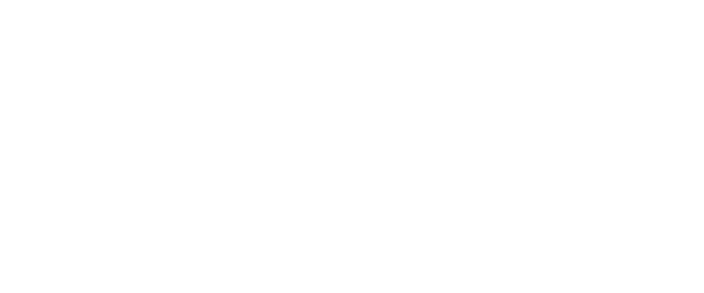 ALASKA AVIATION SERVICES